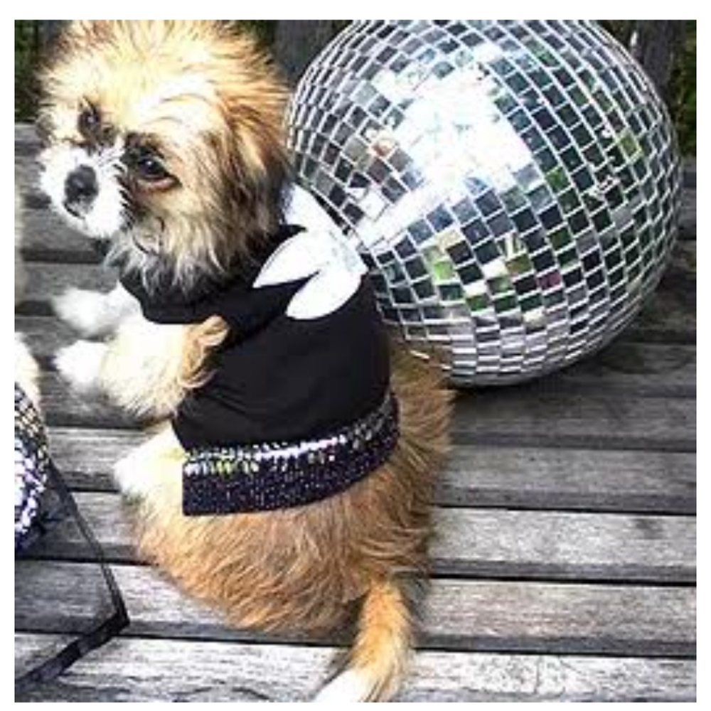 NWOT DOGGY Size Small/Medium Disco Tee-Shirt